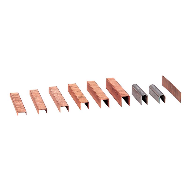 8411772236009-Petrus 200 - Agrafes - 23/6 - 6 mm - pack de 1000-P_300047123_1-0