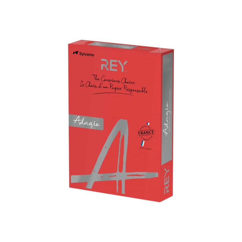 3368220089685-Rey Adagio - Papier couleur - A4 (210 x 297 mm) - 160 g/m² - Ramette de 250 feuilles - ro-P_405137835_1-0