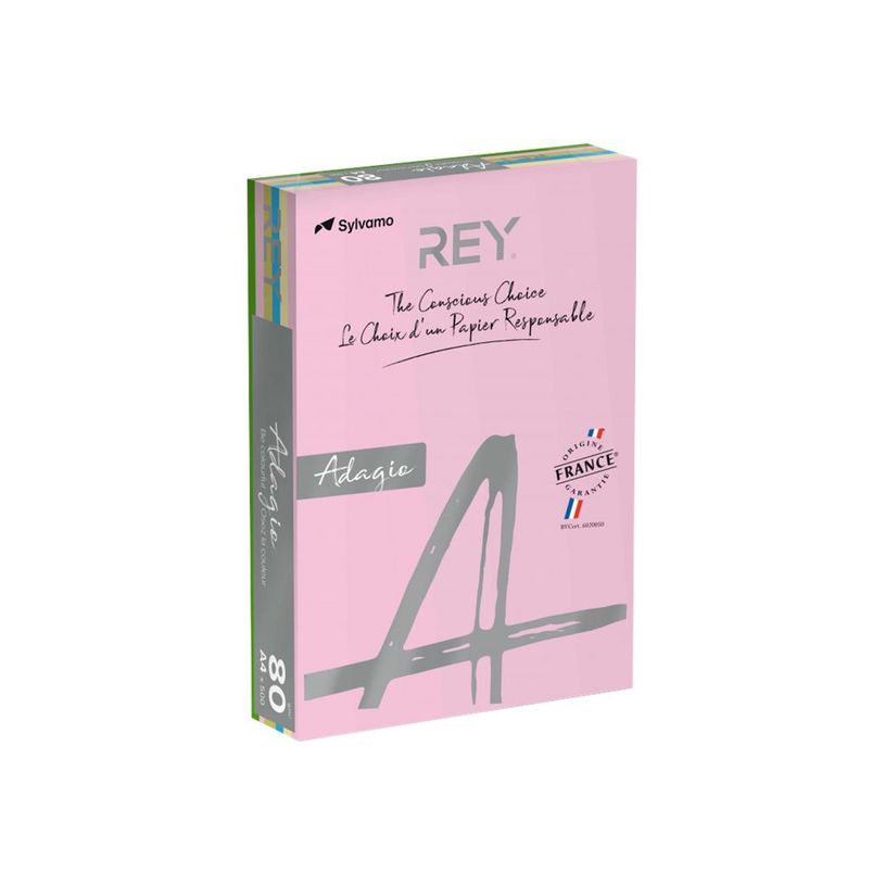 3141720137588-Rey Adagio - Papier couleur - A4 (210 x 297 mm) - 160 g/m² - Ramette de 250 feuilles - co-P_405137846_1-0