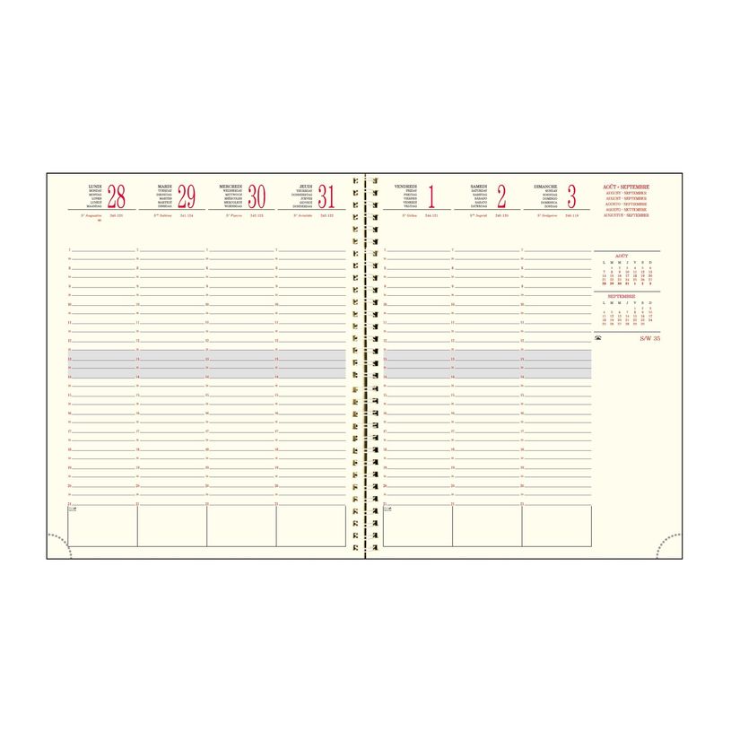 3660942084390-Agenda de bureau spiralé 16 mois Capucine - 1 semaine sur 2 pages - 18,5 x 22,5 cm - rose-P_405161338_2-1