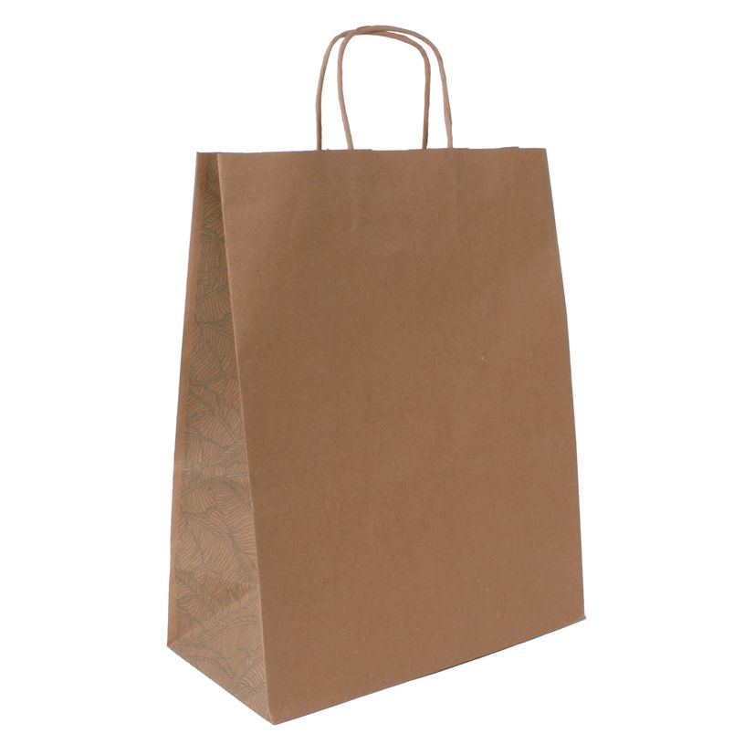 3700030058565-Sac kraft poignées torsadées Jungle vert -  24 x 11 x 31 cm-P_405221670_1-0