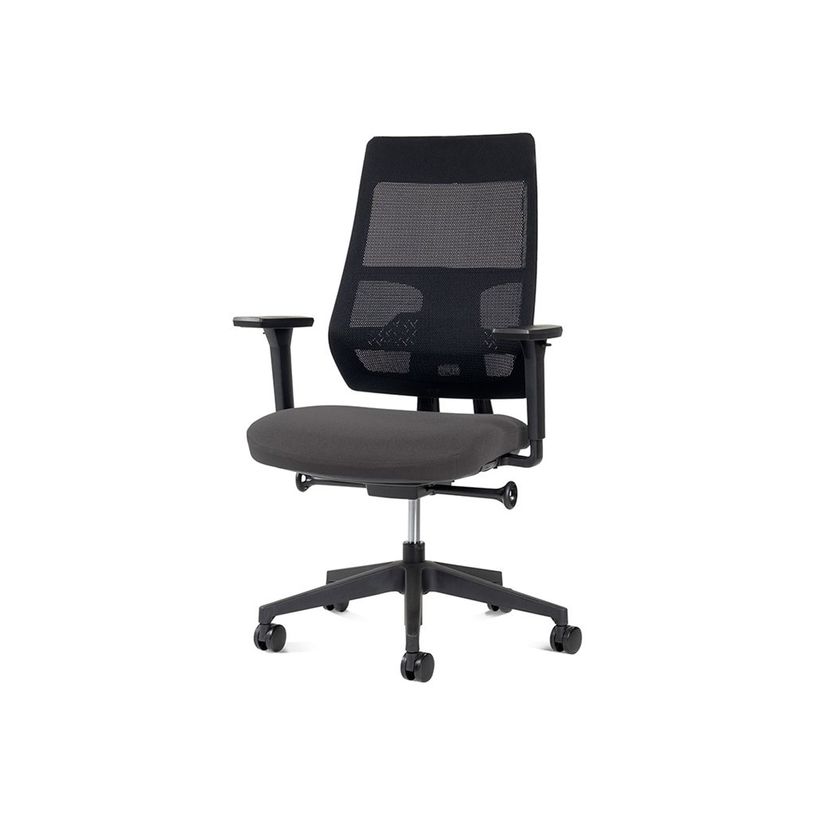 8427951072573-rocada Ergoline - Chaise - professional - accoudoirs - en T - inclinaison - pivotant - gri-P_405224915_1-0