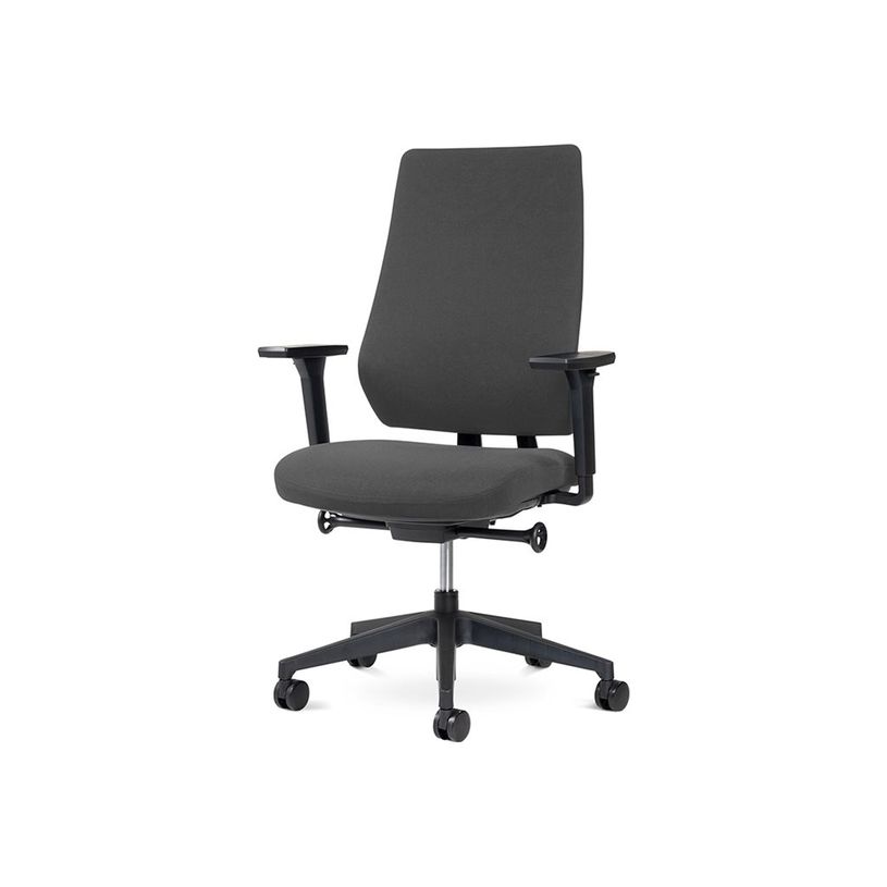 8427951072634-rocada Ergoline - Chaise - professional - accoudoirs - en T - inclinaison - pivotant - gri-P_405224921_1-0