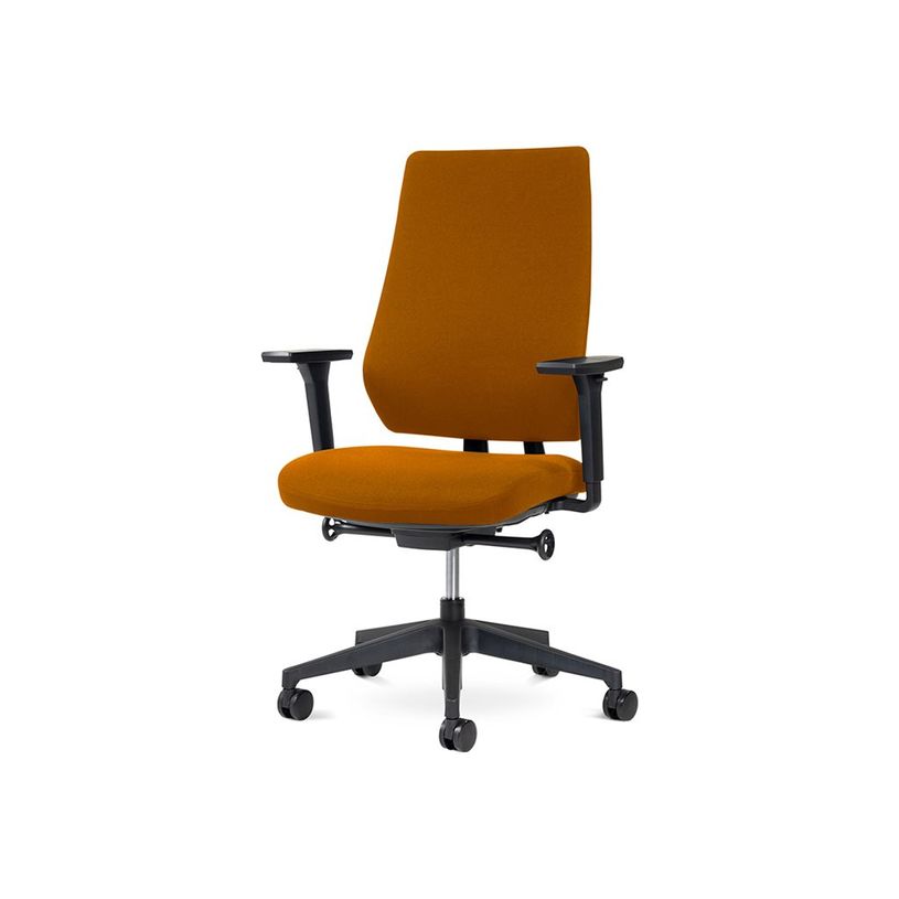 8427951072672-rocada Ergoline - Chaise - professional - accoudoirs - en T - inclinaison - pivotant - ora-P_405224923_1-0