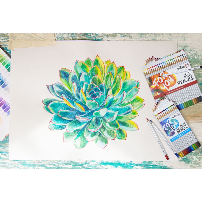 5411711463667-Darwi For You - Boite de 12 crayons de couleur aquarellables-P_405230678_5-4