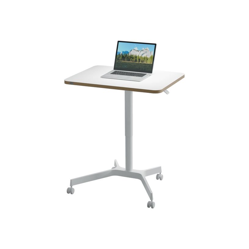 4002432138395-Bureau ERGO - Bureau assis-debout compact - réglable manuel - Blanc-P_405242224_6-1