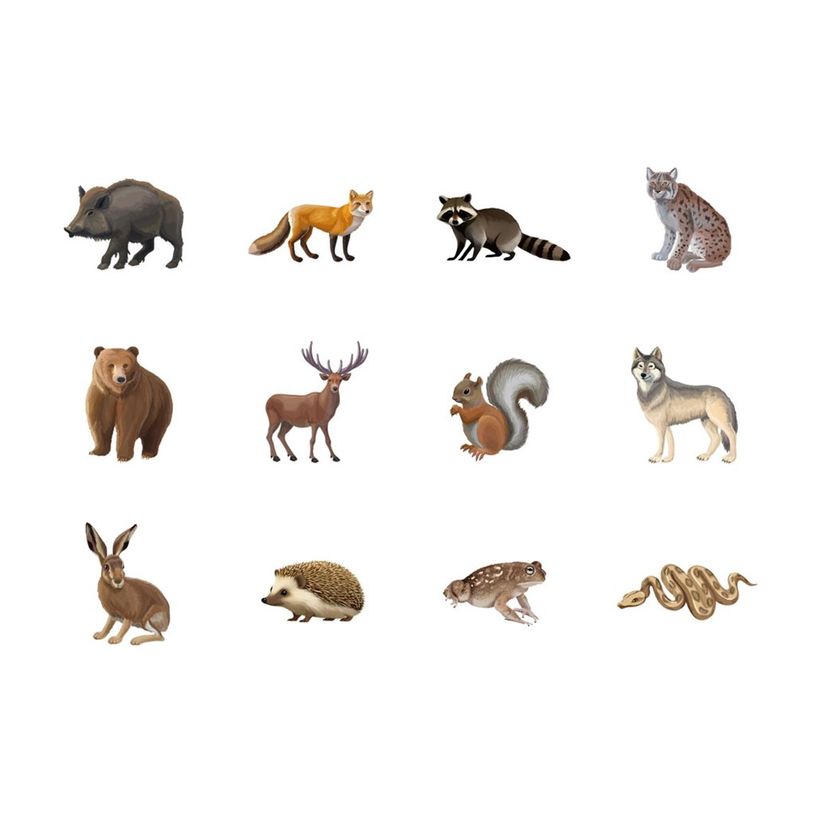 8410782200543-APLI kids - Rouleau adhésif - 360 pièces - oiseaux, animaux marins, terrestrial animals, exotic animals - 30 fe-P_405243350_3-2