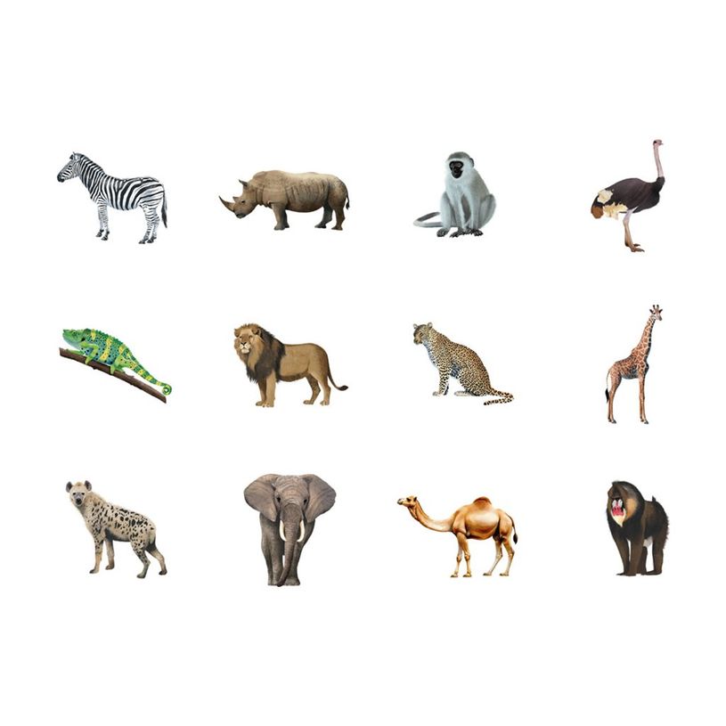 8410782200543-APLI kids - Rouleau adhésif - 360 pièces - oiseaux, animaux marins, terrestrial animals, exotic animals - 30 fe-P_405243350_5-4