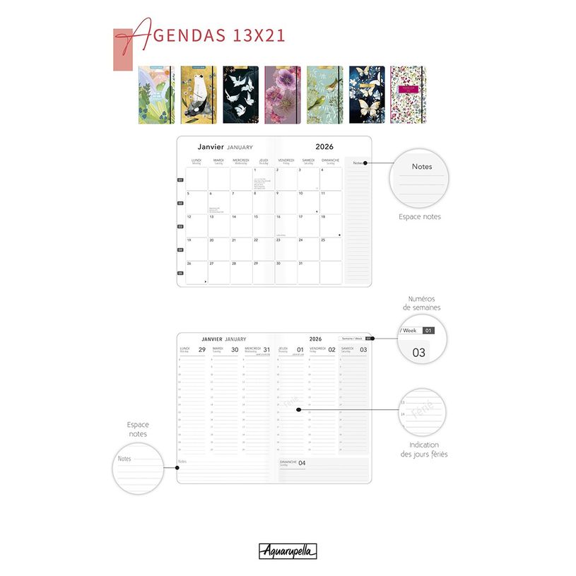 3494150175126-Agenda 13x21cm 12 mois Aquarupella - Stephanie Dyment --1