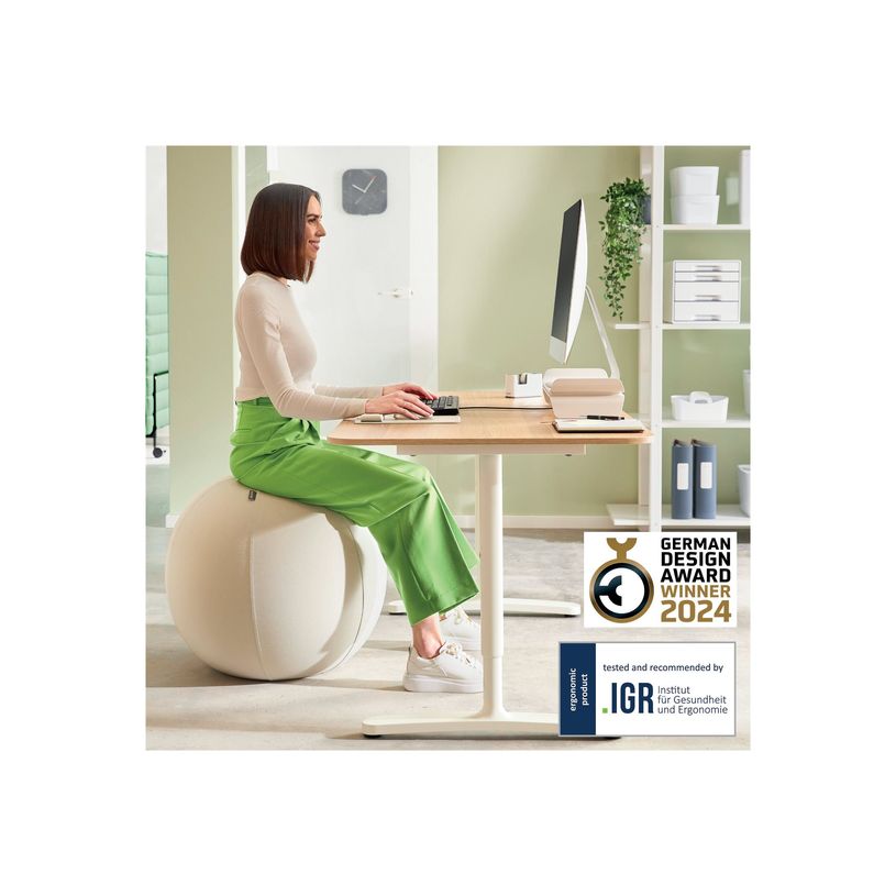 4002432134748-Leitz Ergo - Ballon d'assise ergonomique - Diamètre 55cm - Gris clair-P_405245723_6-2