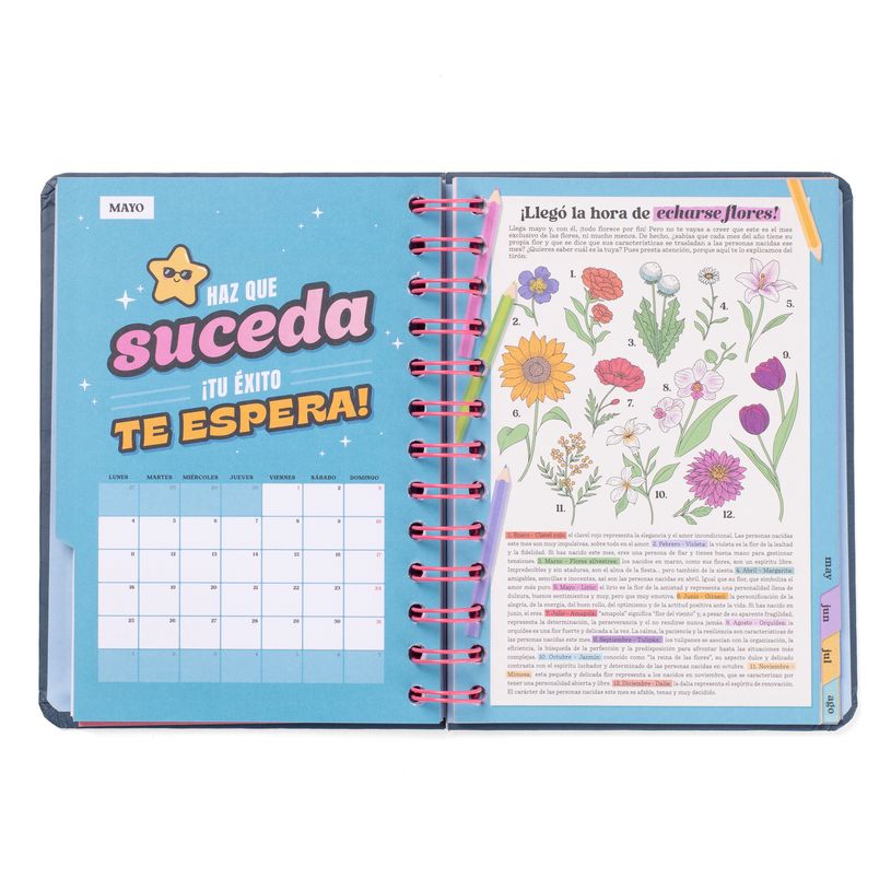 8445641063564-Mr. Wonderful Wonder - Agenda - 2025-2026 - vue de la semaine - anneaux en métal reliés - petit - 160 pages - Bons plans, -P_405248746_2-1