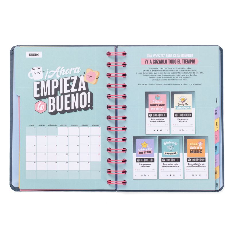 8445641063564-Mr. Wonderful Wonder - Agenda - 2025-2026 - vue de la semaine - anneaux en métal reliés - petit - 160 pages - Bons plans, -P_405248746_3-2