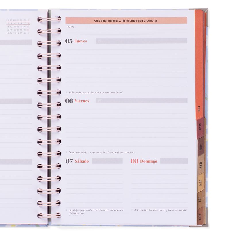 8445641063601-Mr. Wonderful Office - Agenda - 2025-2026 - semainier - reliure à anneaux métalliques - 160 pages -P_405248748_3-1
