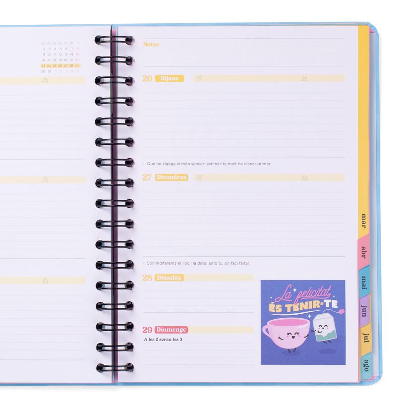 8445641063731-Mr. Wonderful Wonder - Agenda - 2025-2026 - vue de la semaine - anneaux métalliques reliés - 160 pages - catalan-P_405251364_2-1