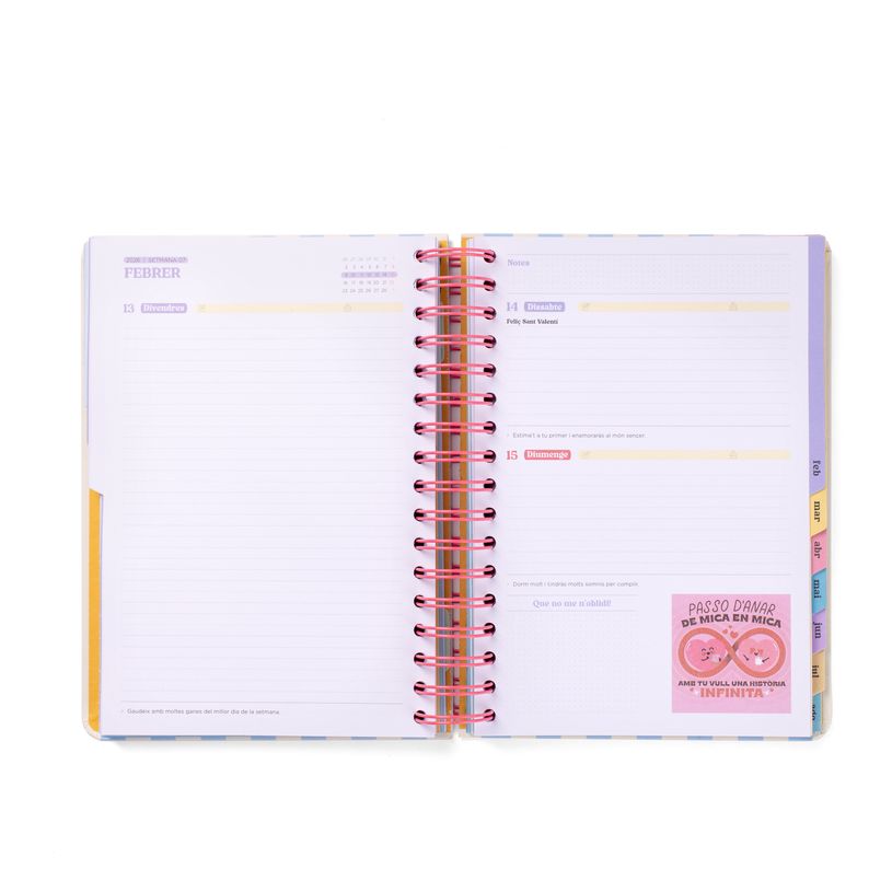 8445641063250-Mr. Wonderful Wonder - Agenda - 2025-2026 - page du jour - anneaux métalliques reliés - 368 pages - catalan-P_405251366_2-1