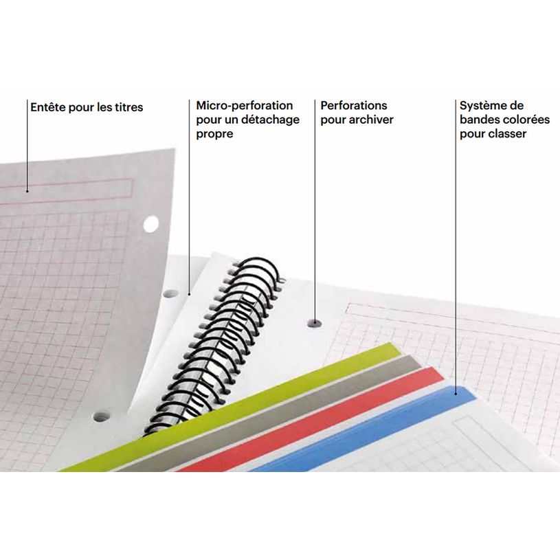 8422593471388-THE ORIGINAL NOTEBOOK, couverture souple, A4, quadrillage 5x5 mm, 140 feuilles de 4 couleurs, Miquelriu--5