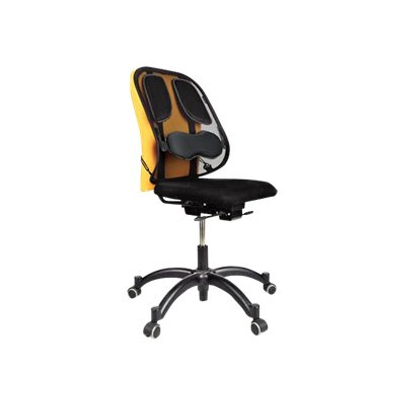 0043859600960-Fellowes Professional - Support dorsal - graphite-P_506285_2-1
