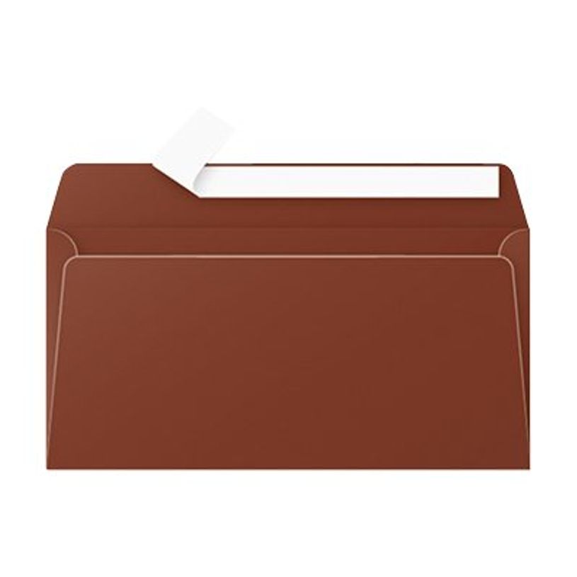 3329680052350-Pollen - 20 Enveloppes - 110 x 220 mm - 120 g/m² - chocolat-P_79146777_1-0