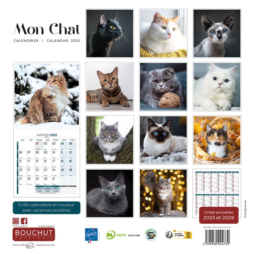 3592930027020-Calendrier illustré BOUCHUT 30 x 30 cm MON CHAT 70 %-P_79347744_11-2