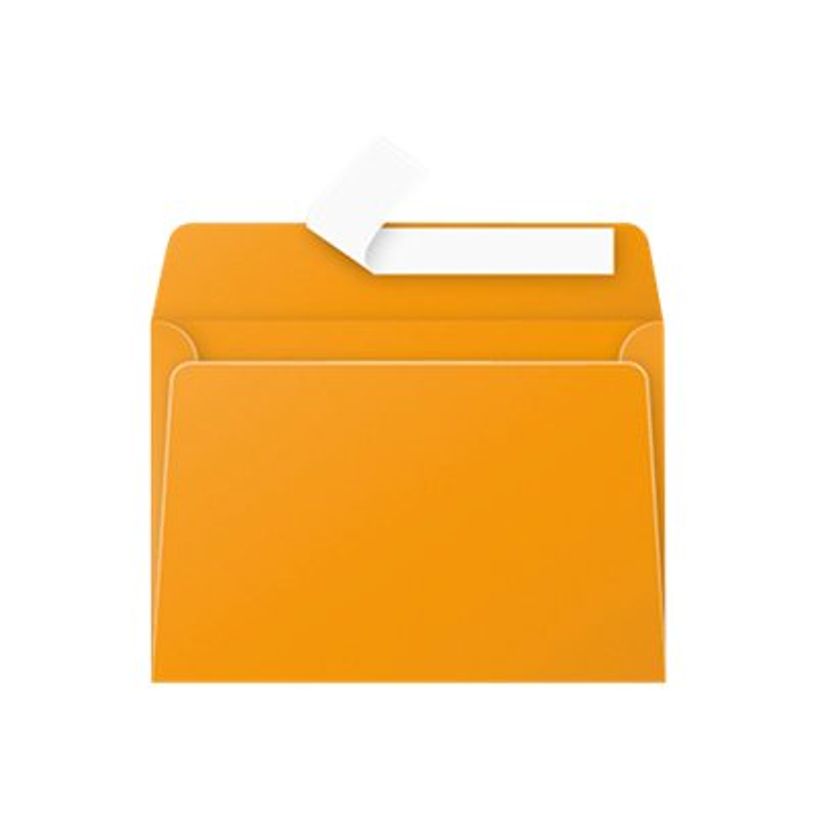3329680053869-Pollen - 20 Enveloppes - 114 x 162 mm - 120 g/m² - capucine-P_79382419_1-0