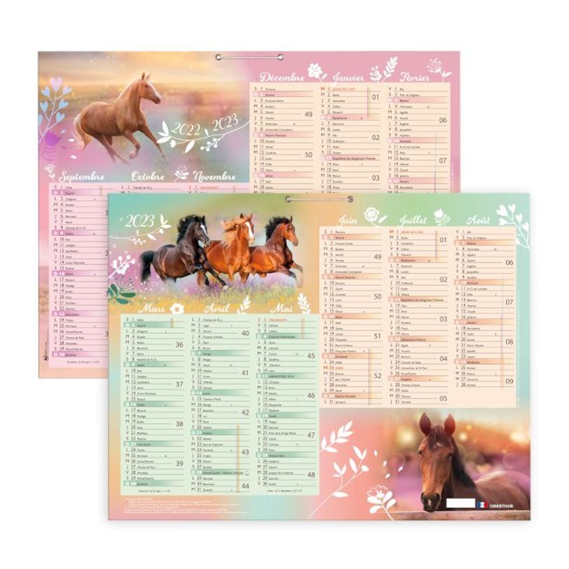 3108720520598-Calendrier Cheval 6 mois par face - 52 x 40,5 cm - Oberthur-P_79395022_1-0
