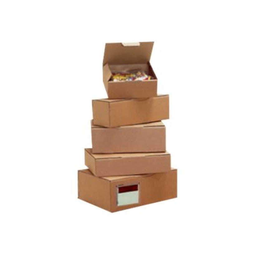 2012348669007-50 Boîtes postales d'expédition - 25 cm x 15 cm x 10 cm - kraft brun - Logistipack-P_79395373_1-0