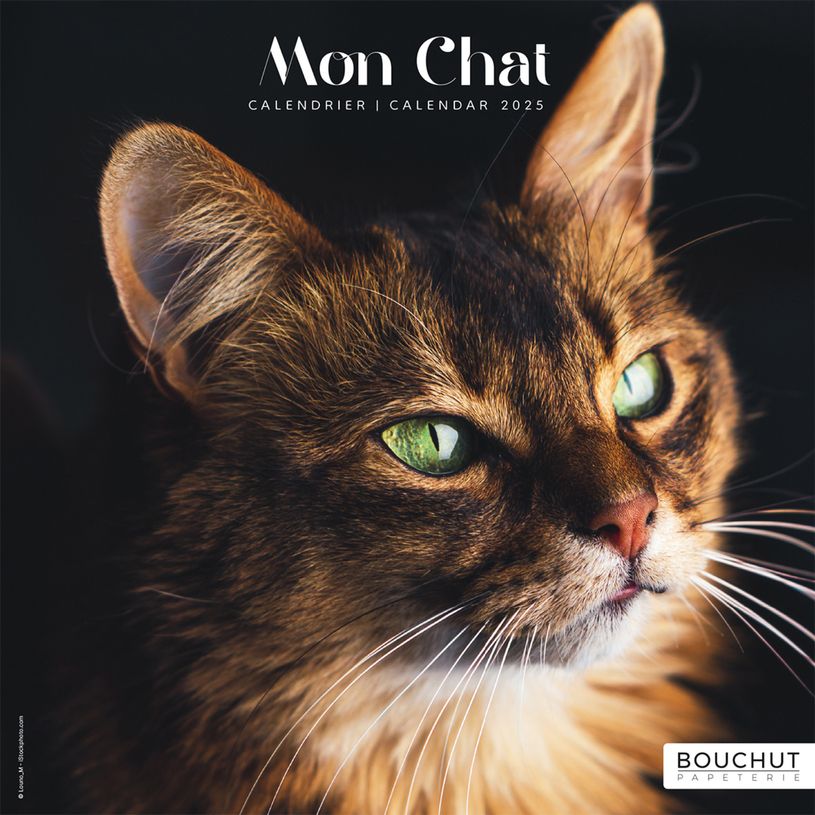 3592930027211-Calendrier illustré BOUCHUT 15 x 15 cm MON CHAT 70 %-P_79409613_9-0