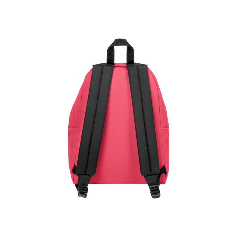 5400552852136-EASTPAK Padded Pak'r - Sac à dos - 40 cm - Wild pink-P_79428217_3-2